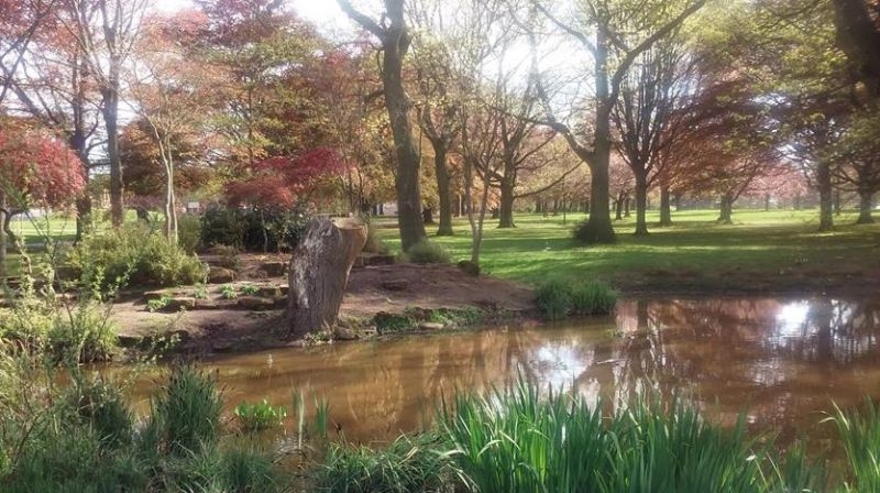 33399-war-memorial-park-coventry-01