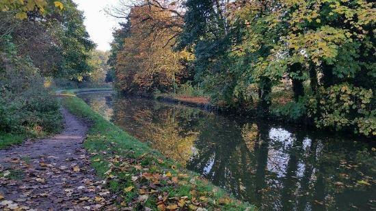 pooley-country-park