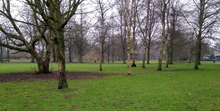 riversley_20210115_122825
