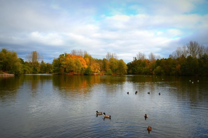 ryton-pools